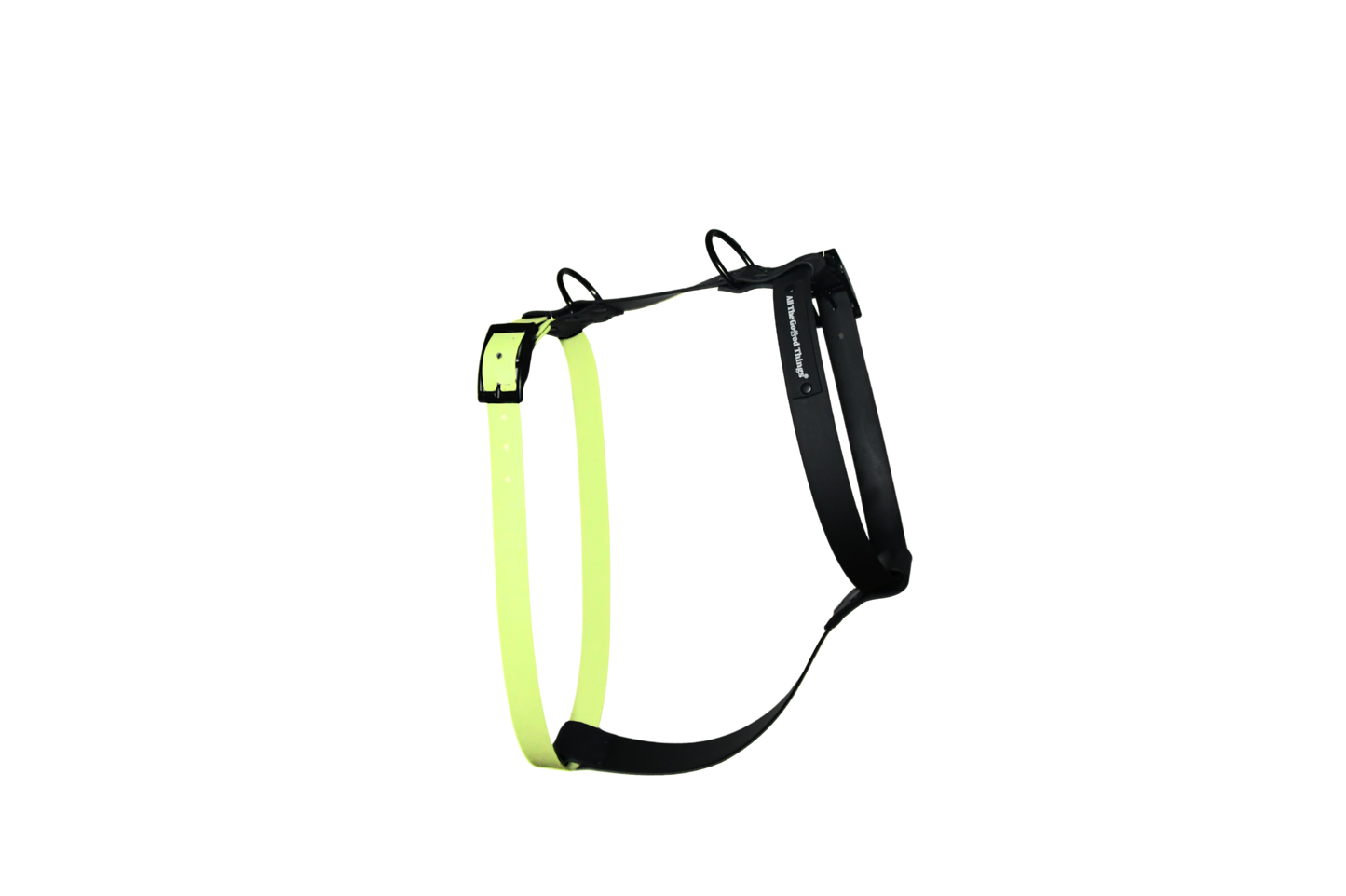 Harness Lemon