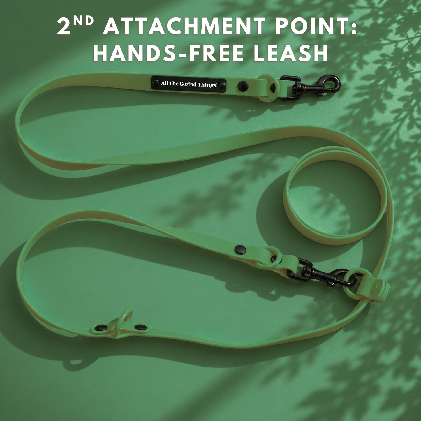 Pop Hands-free Leash Olive