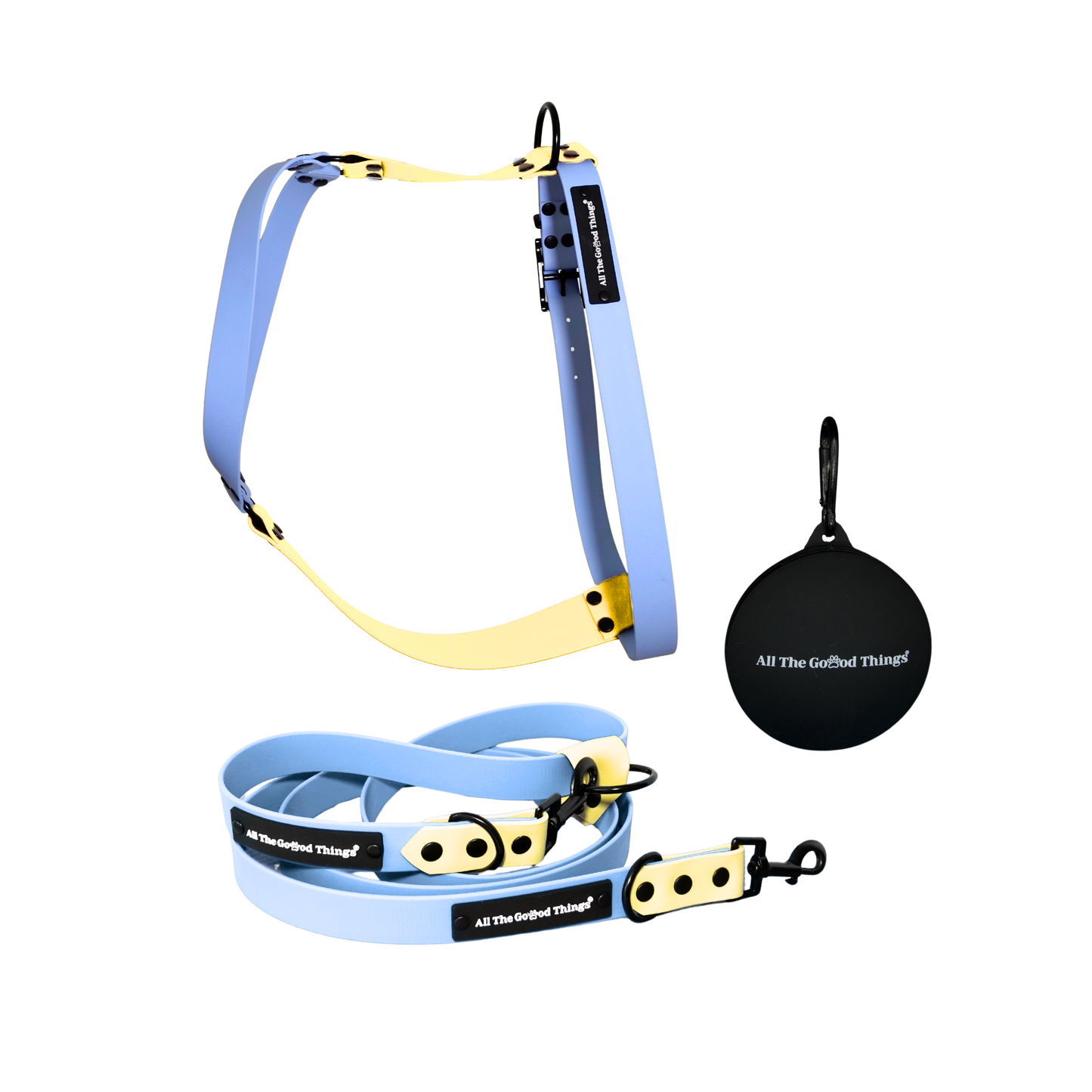 Harness & Leash Set Stockholm