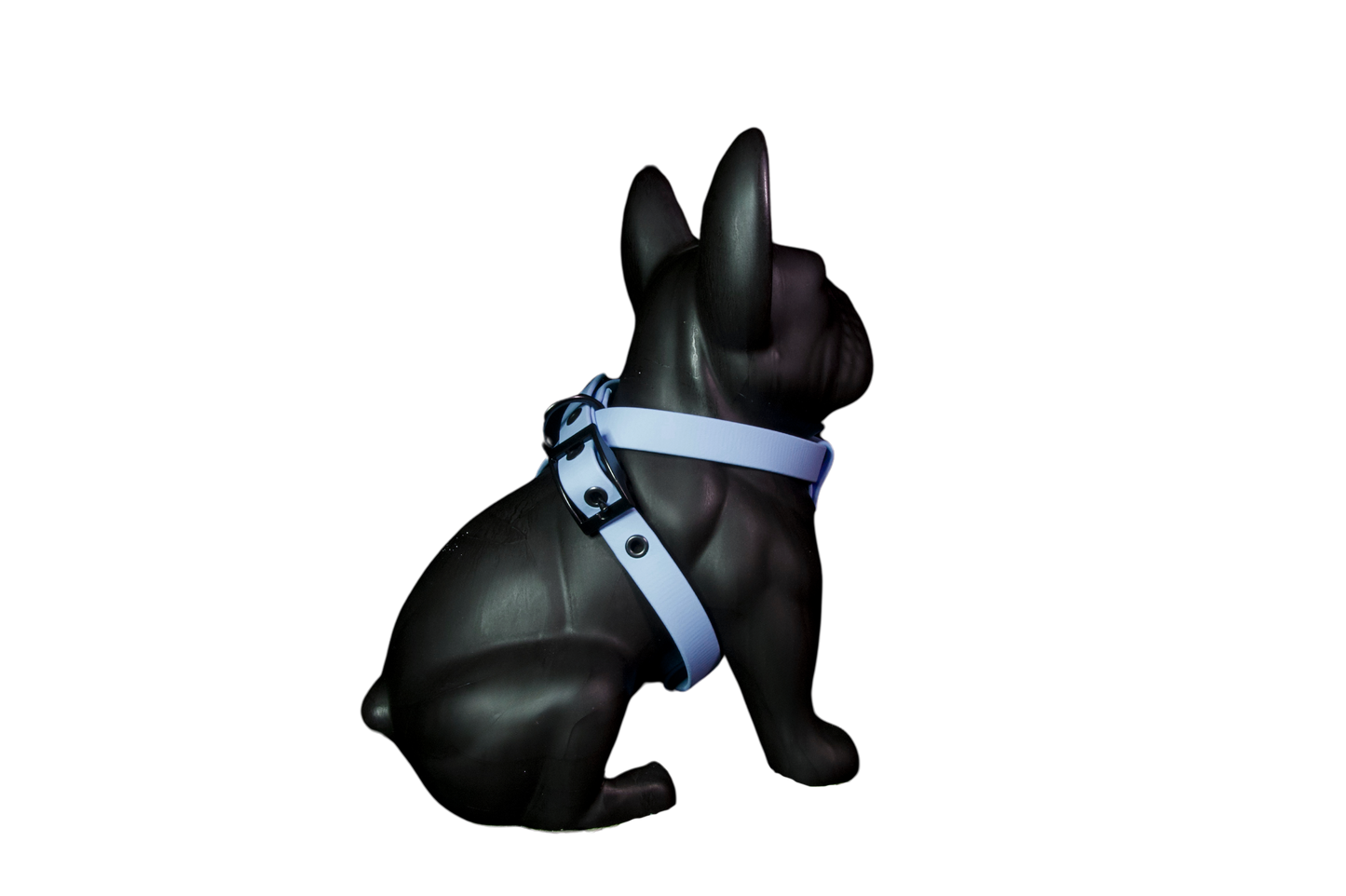Harness Sky