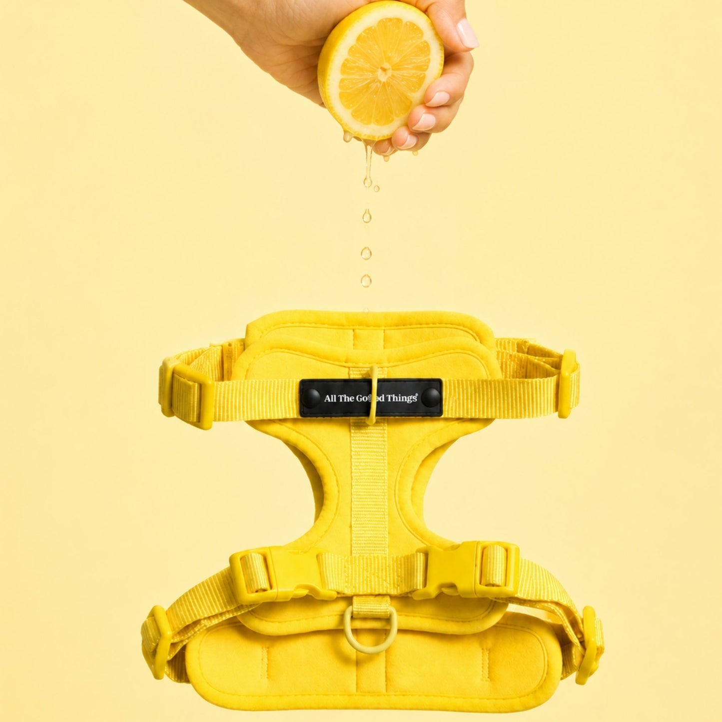 Pop Padded Harness Lemon