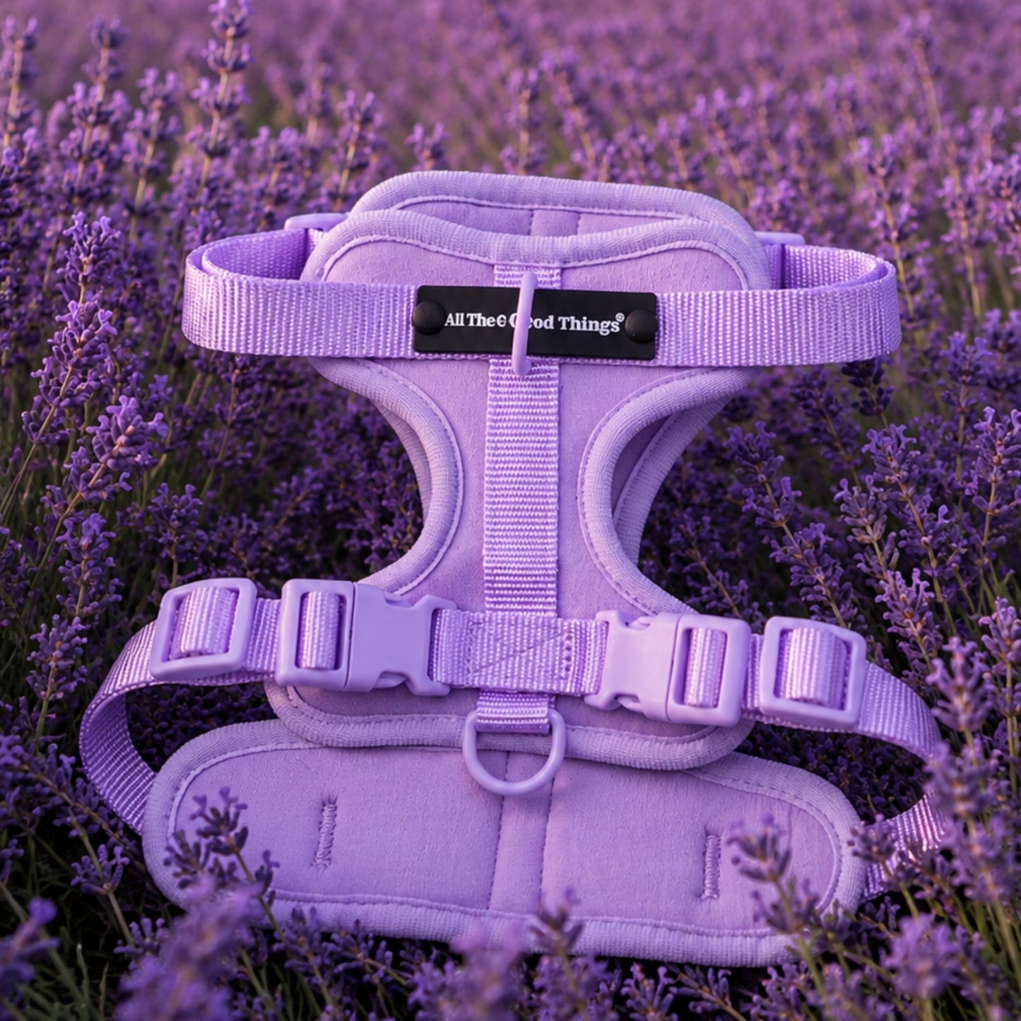 Pop Padded Harness Lavender