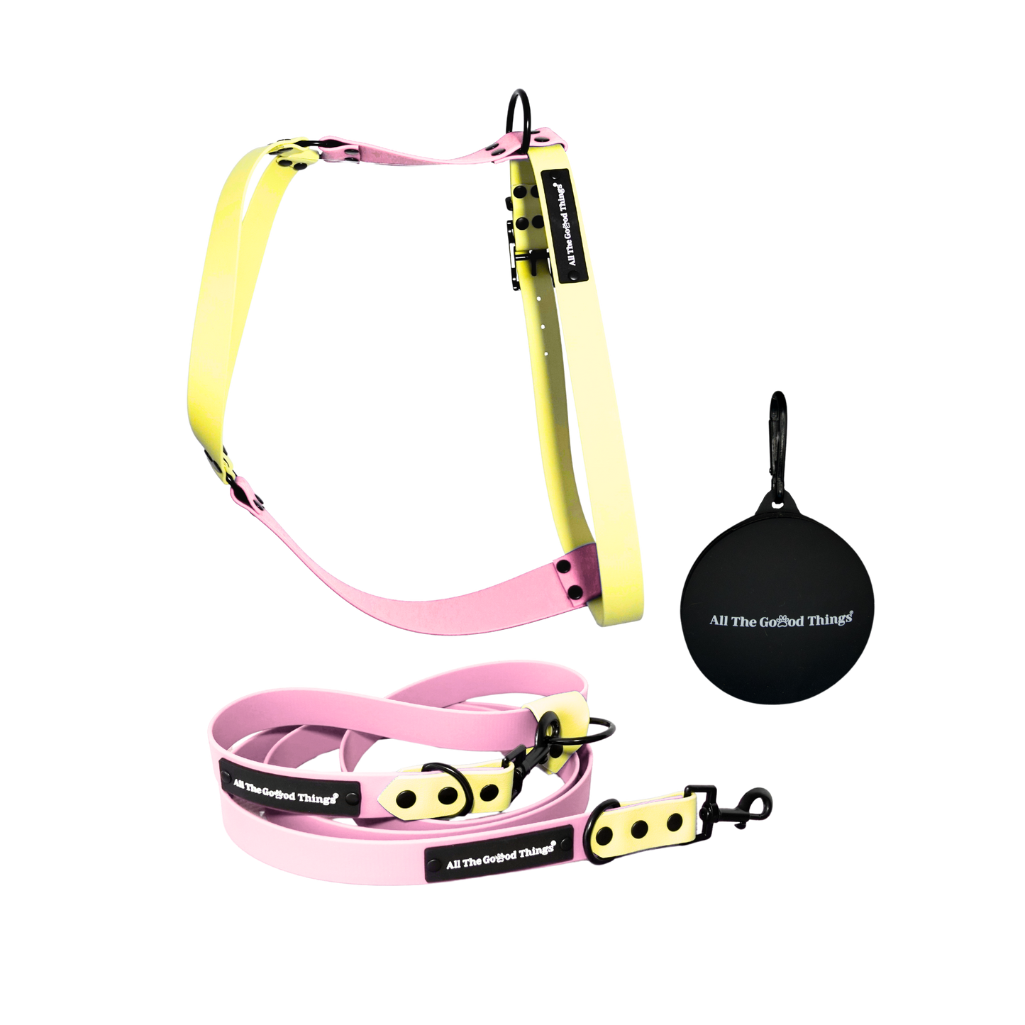 Harness & Leash Set Sunrise