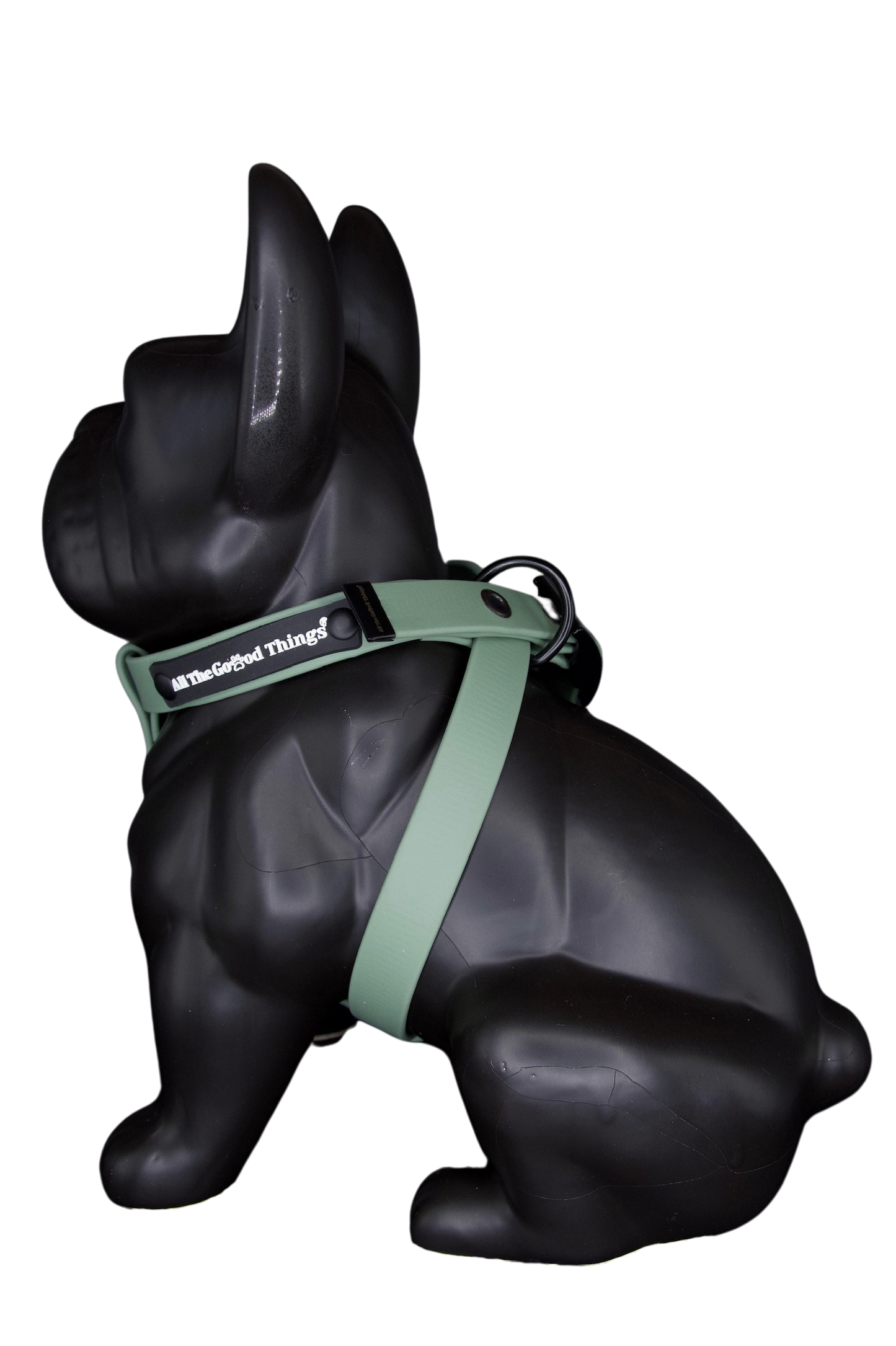 Harness Olive