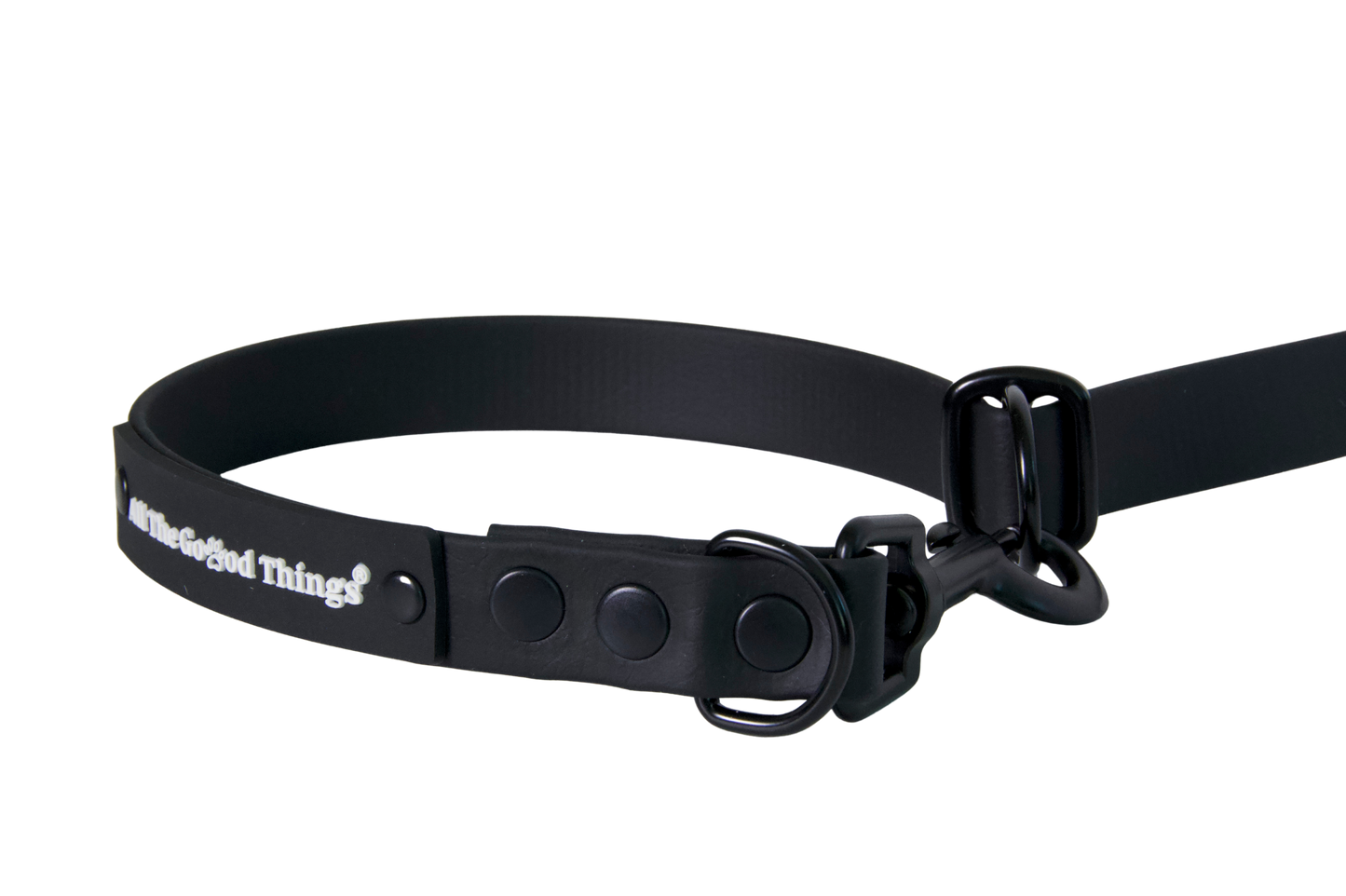 Leash Black