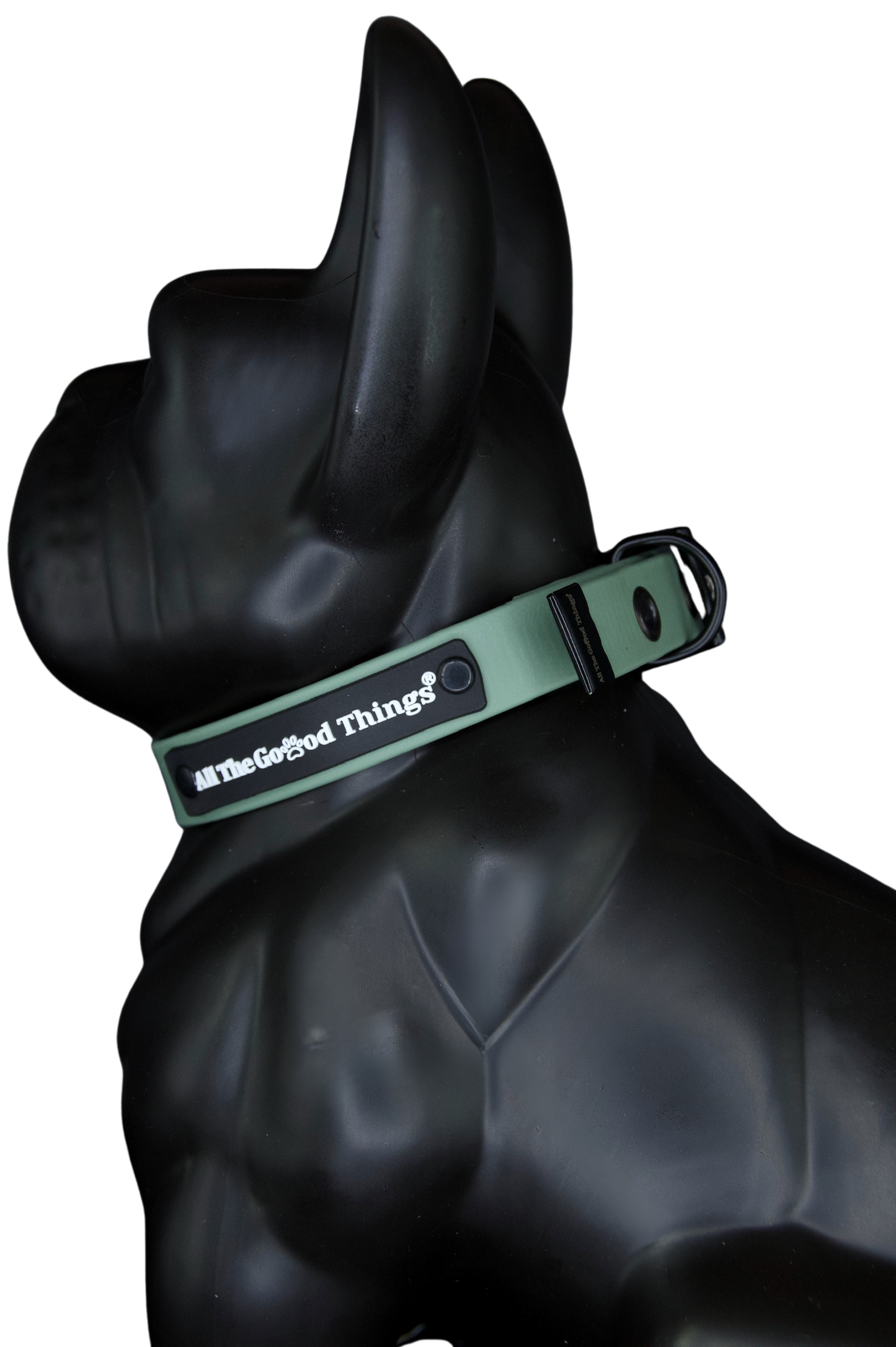 Collar Olive 2
