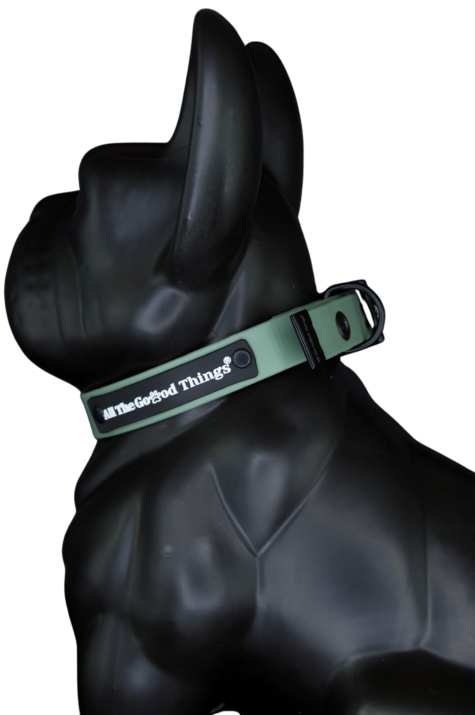 Collar Olive 2