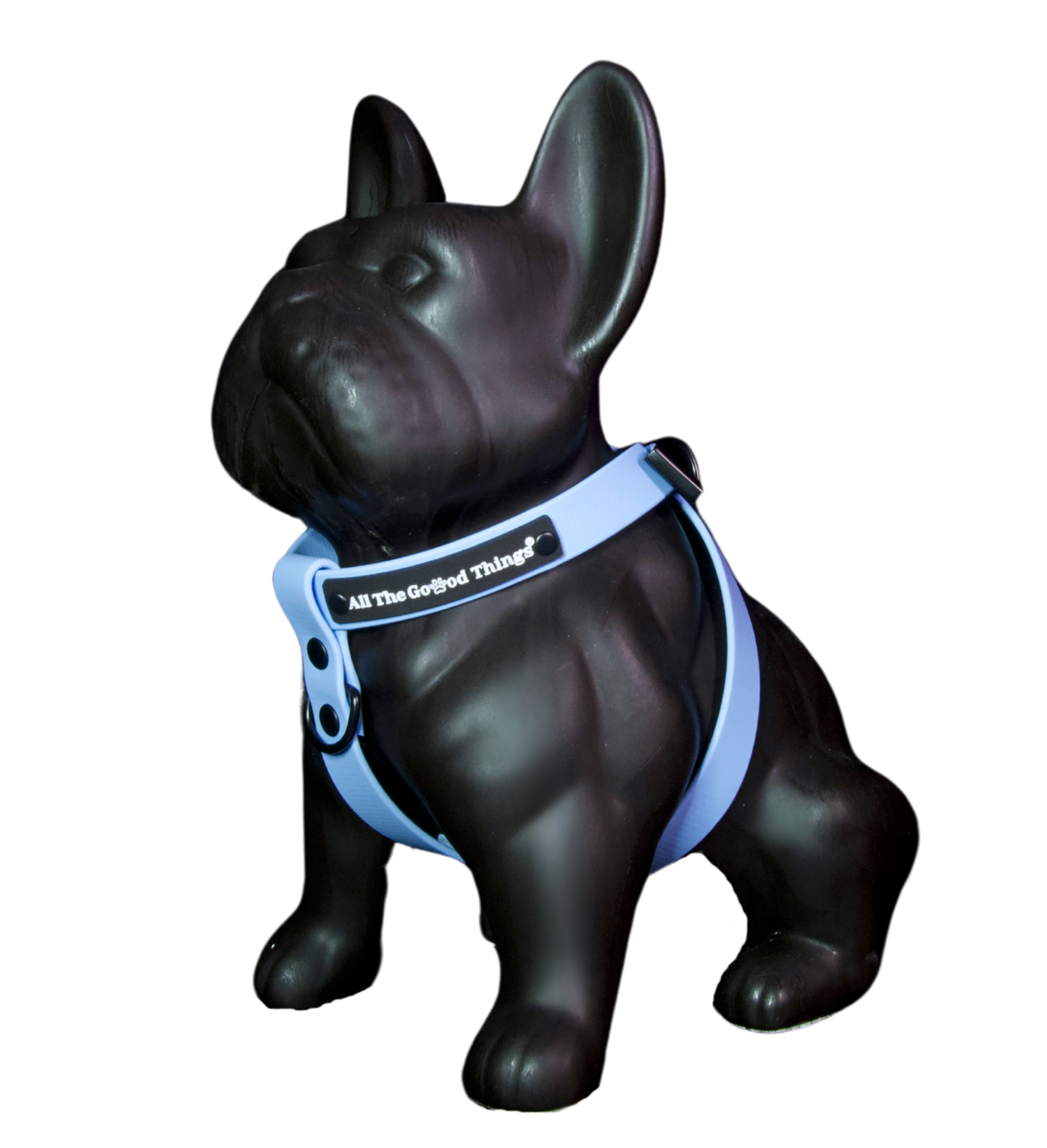 Harness Sky