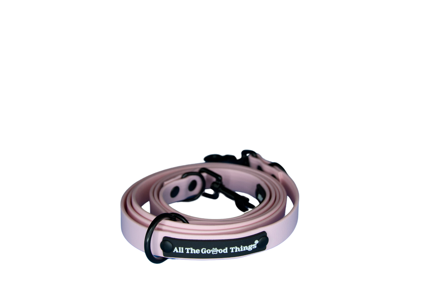 Leash Rose 1