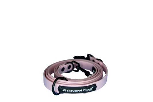 Leash Rose 1
