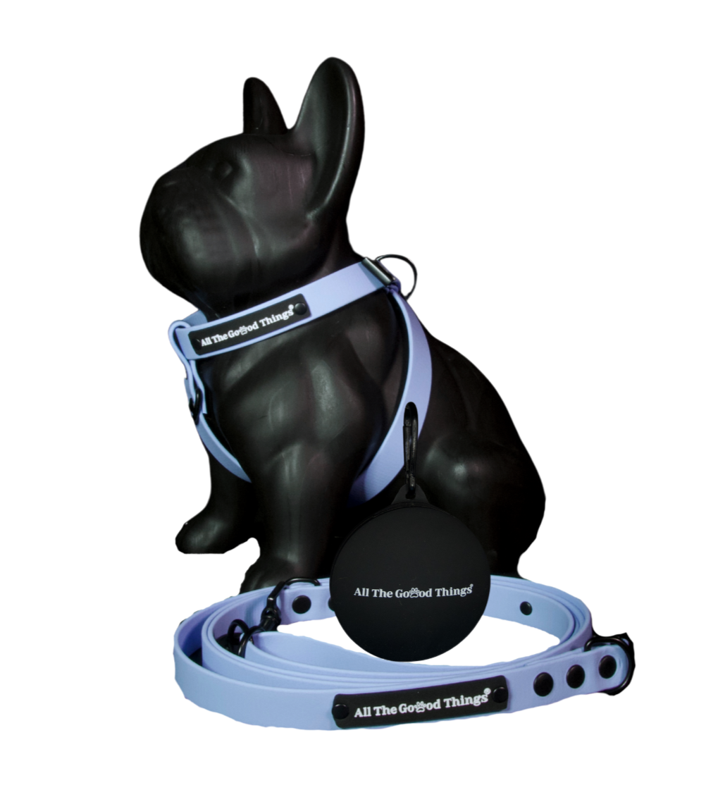 Full set "Harness" Sky