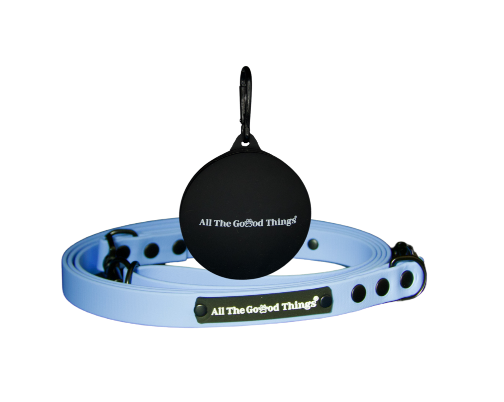 Set "Leash+Treat/Poop Bag" Sky