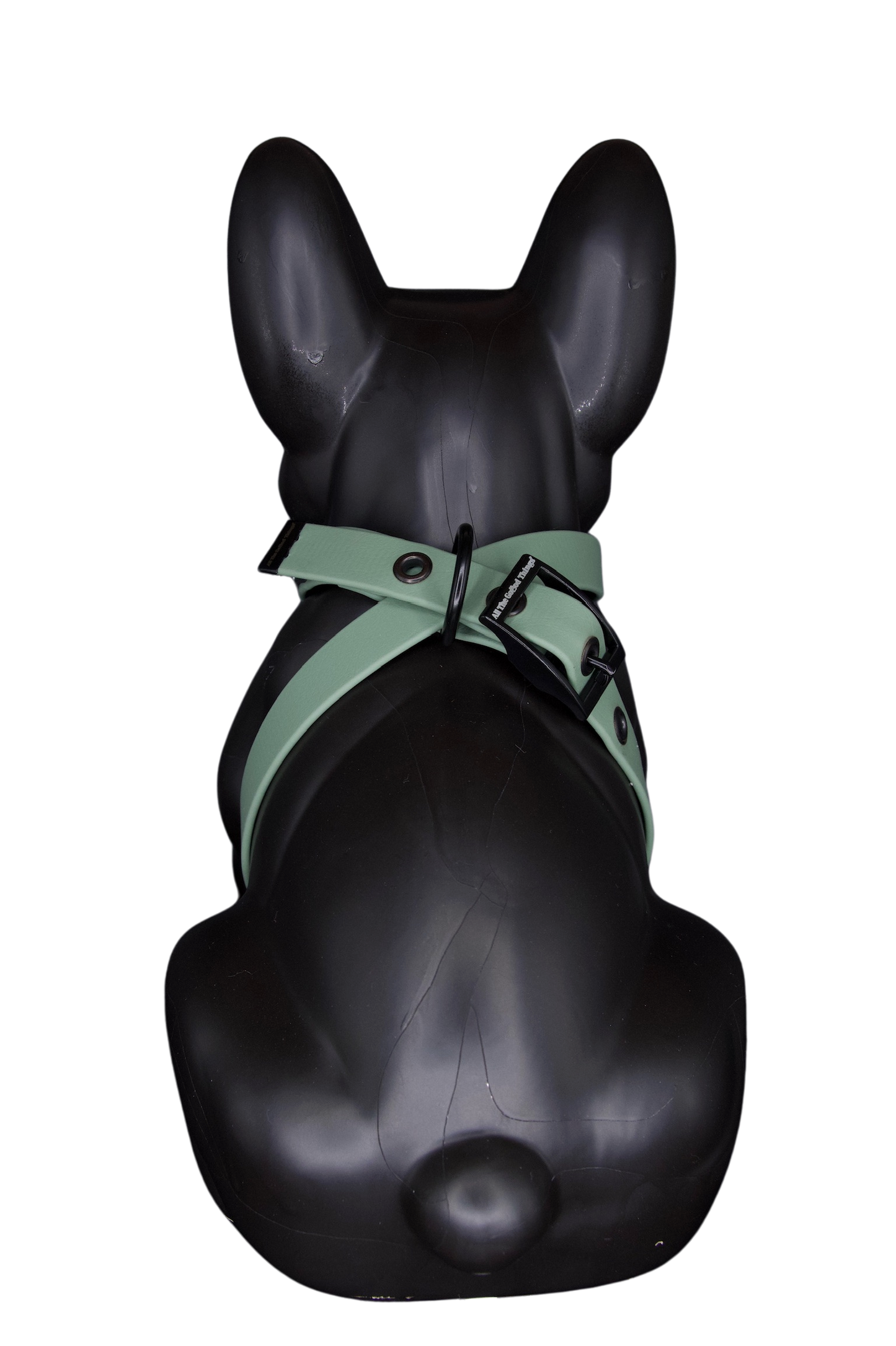 Harness Olive