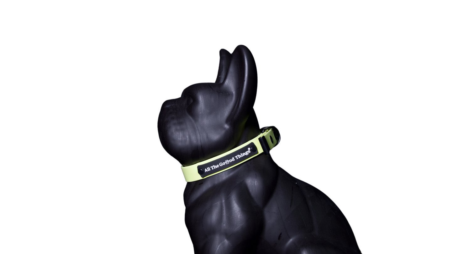 Collar Lemon