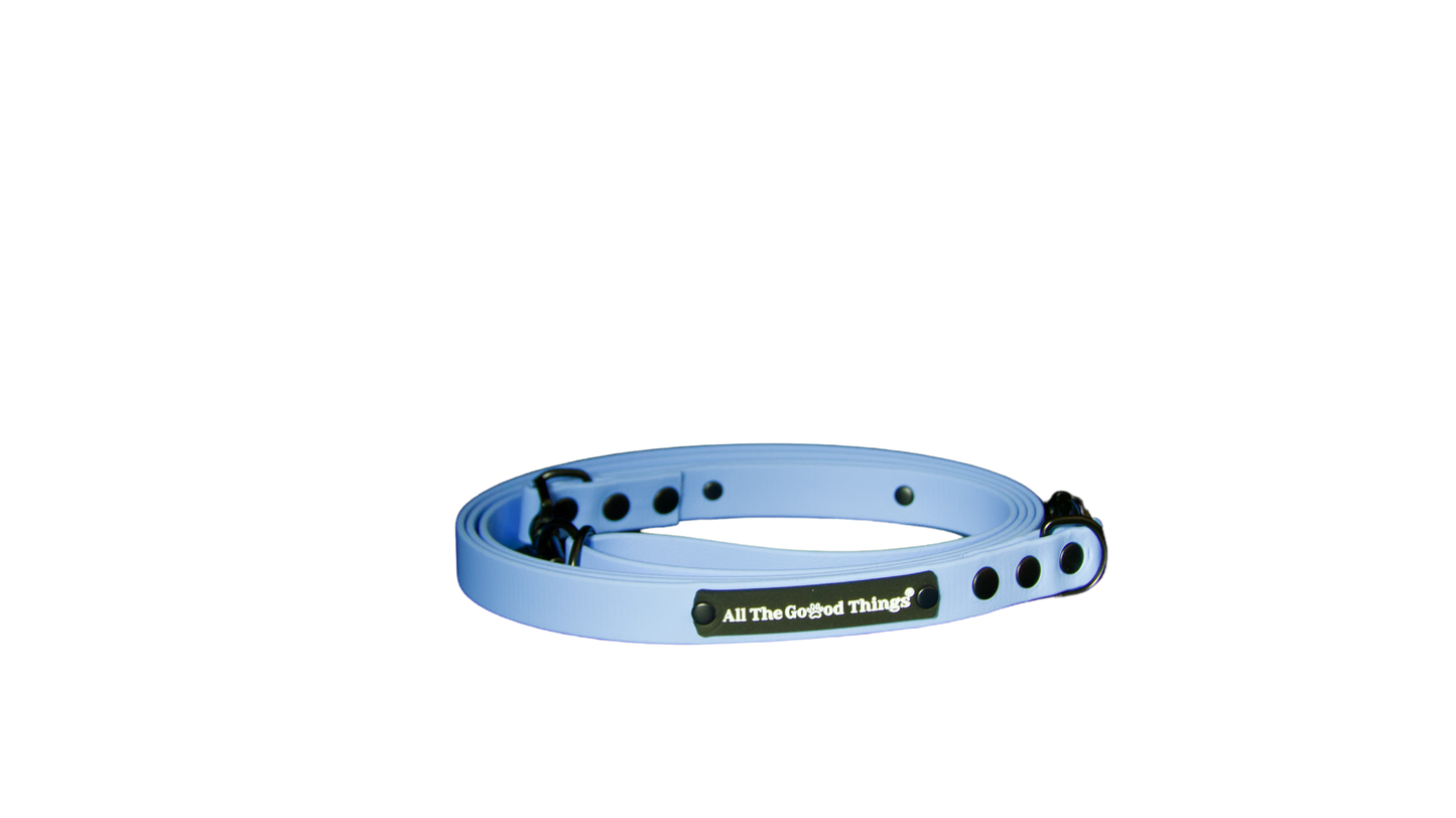 Leash Sky