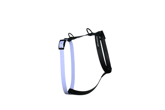 Harness Sky