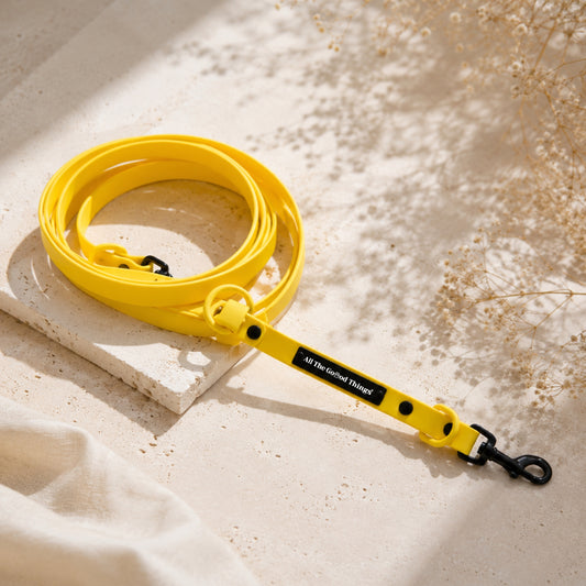 Pop Hands-free Leash Lemon