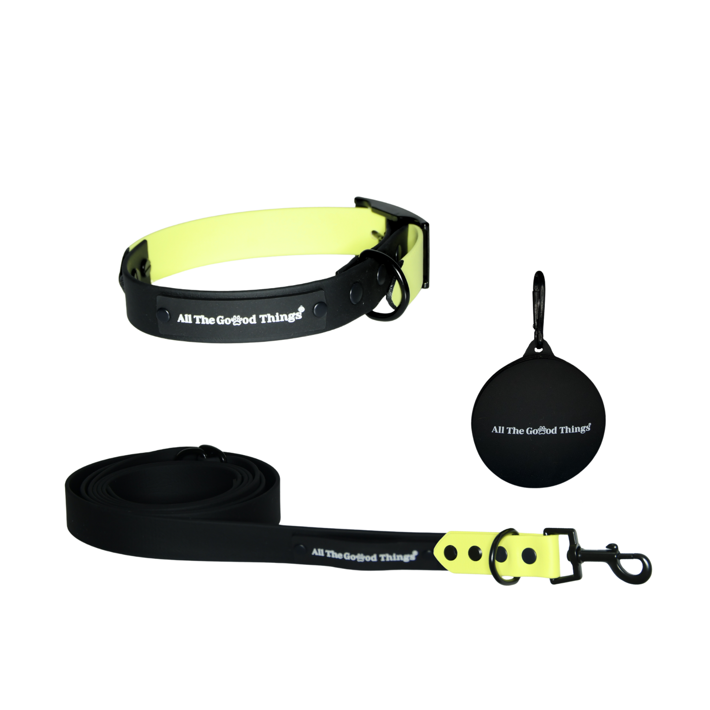 Accent Collar + Leash Set