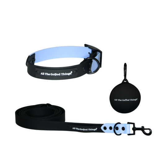 Accent Collar + Leash Set
