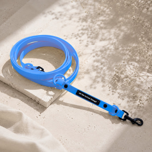 Pop Hands-free Leash Sky