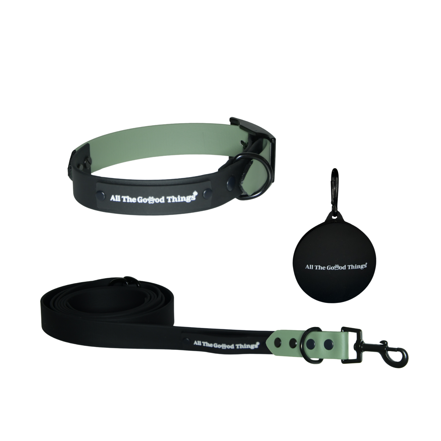 Accent Collar + Leash Set