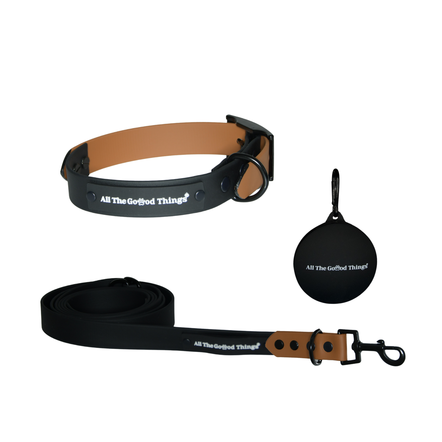 Accent Collar + Leash Set