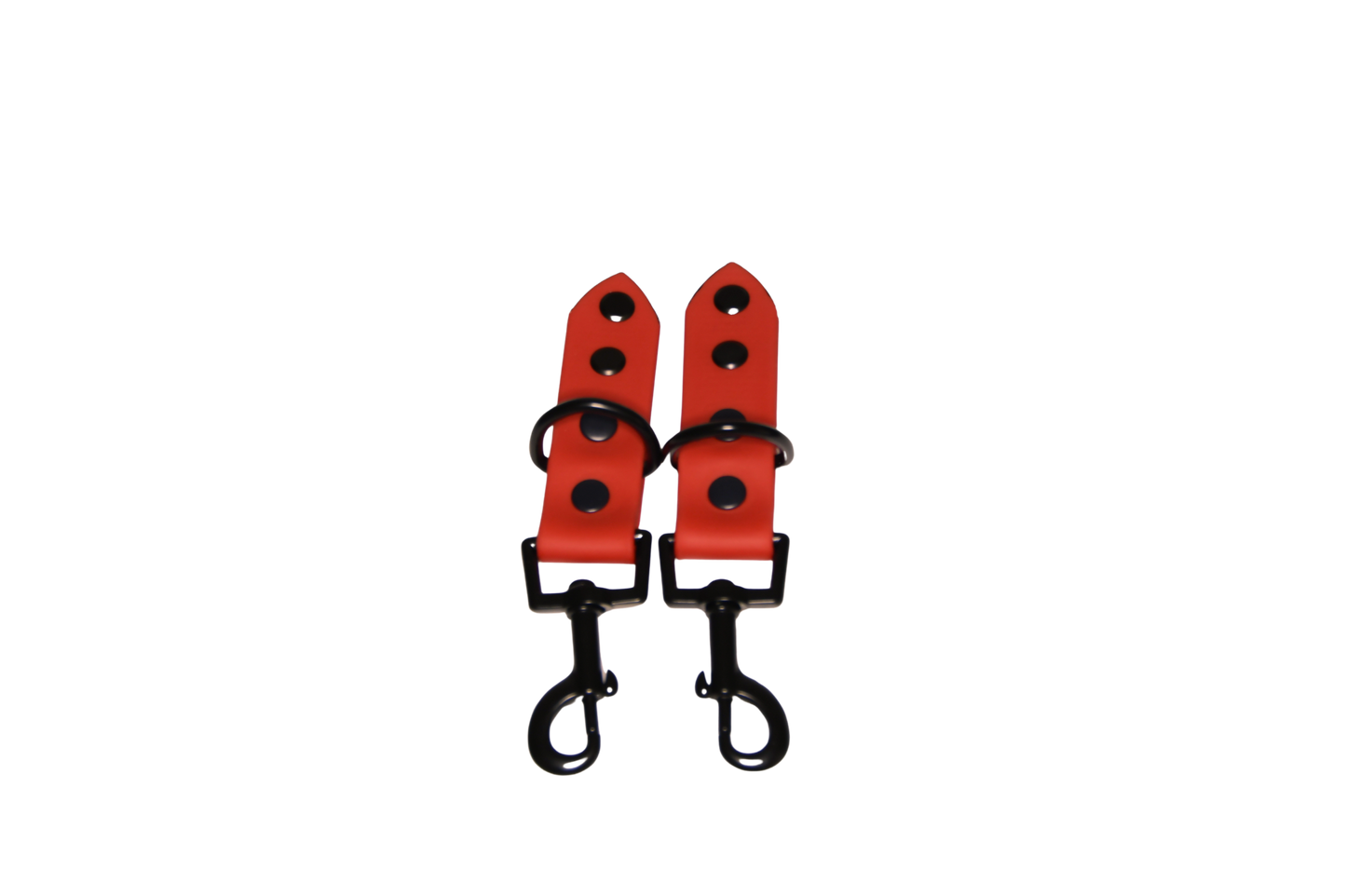 Complete Leash "Black with add-on" Christmas Edition