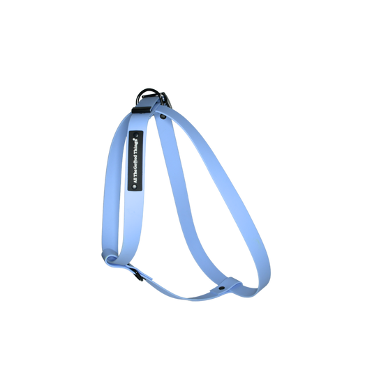 Harness Sky