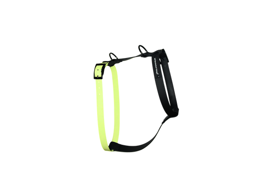 Harness Lemon