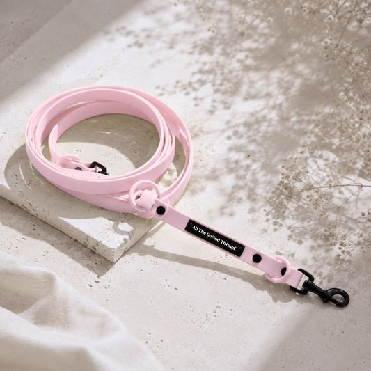 Pop Hands-free Leash Rose