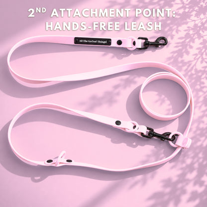 Pop Hands-free Leash Rose