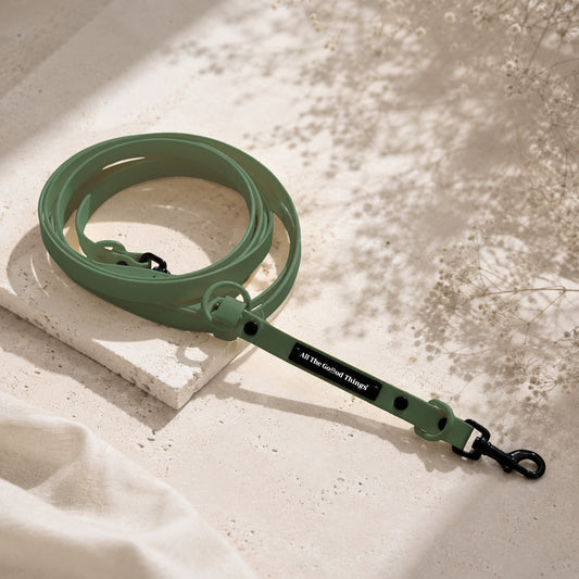 Pop Hands-free Leash Olive