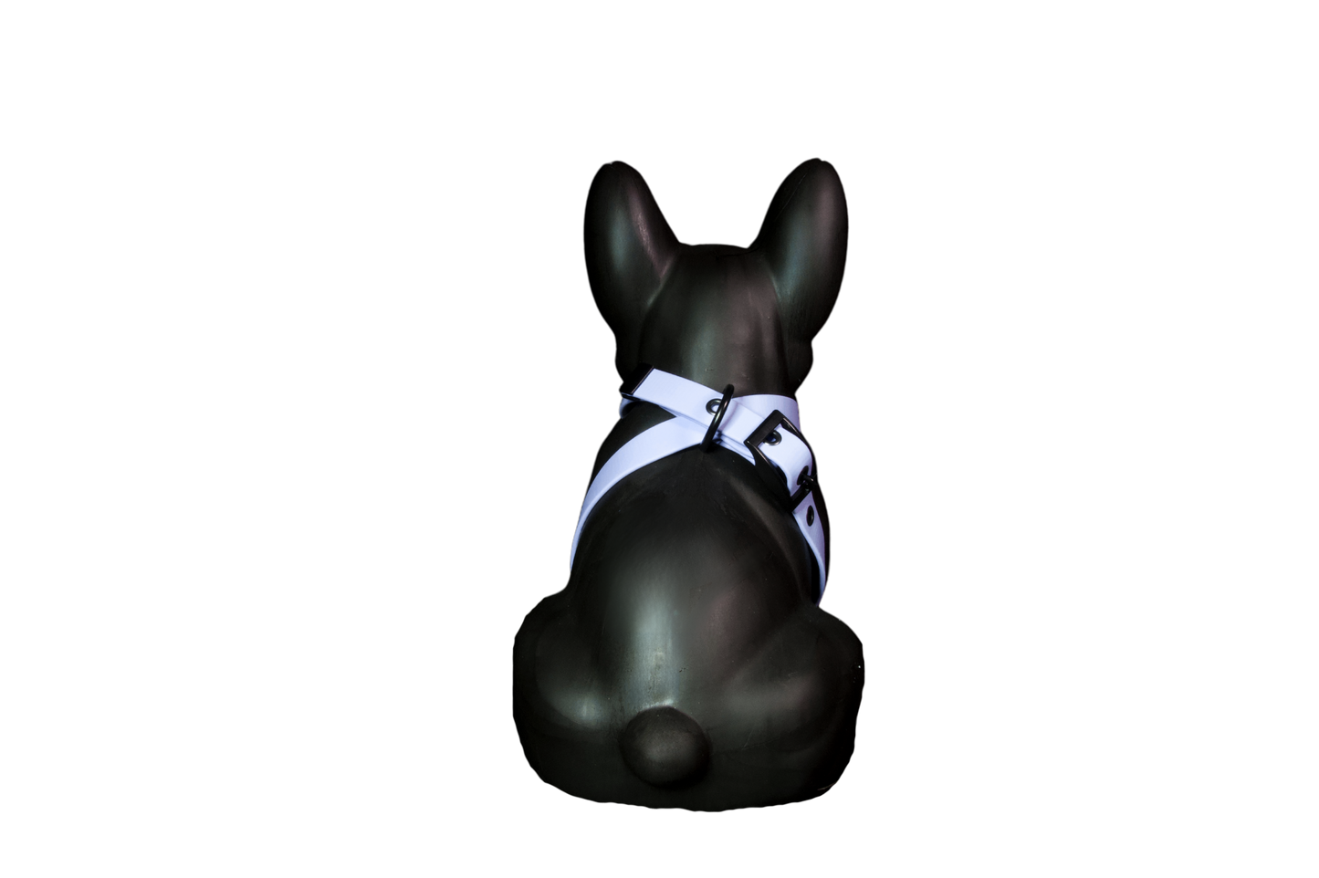 Harness Sky