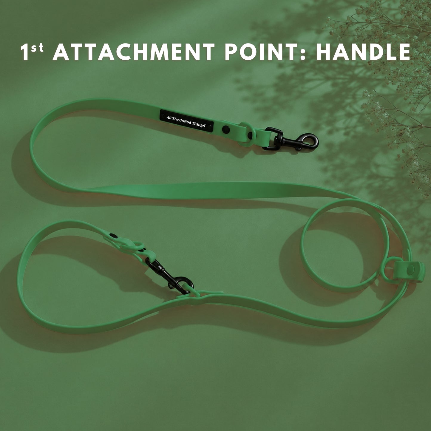 Pop Hands-free Leash Olive