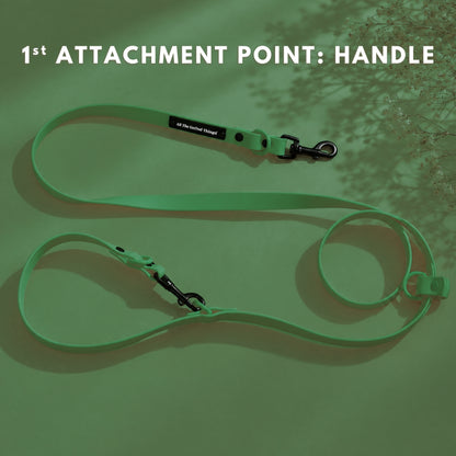 Pop Hands-free Leash Olive
