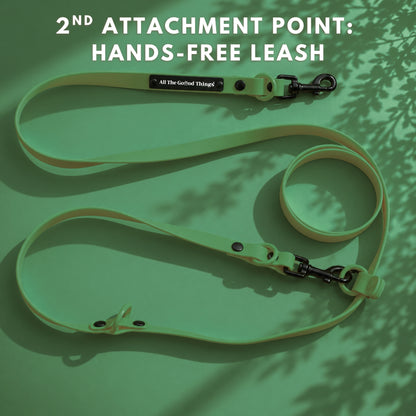 Pop Hands-free Leash Olive