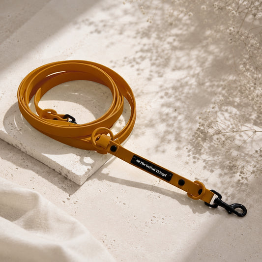 Pop Hands-free Leash Hazel