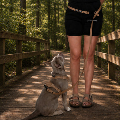 Pop Hands-free Leash Hazel