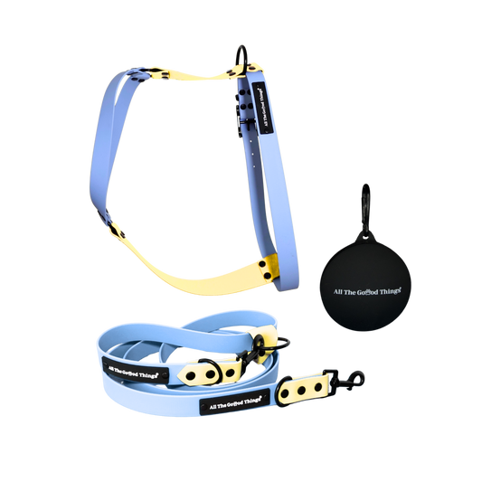 Harness & Leash Set Stockholm