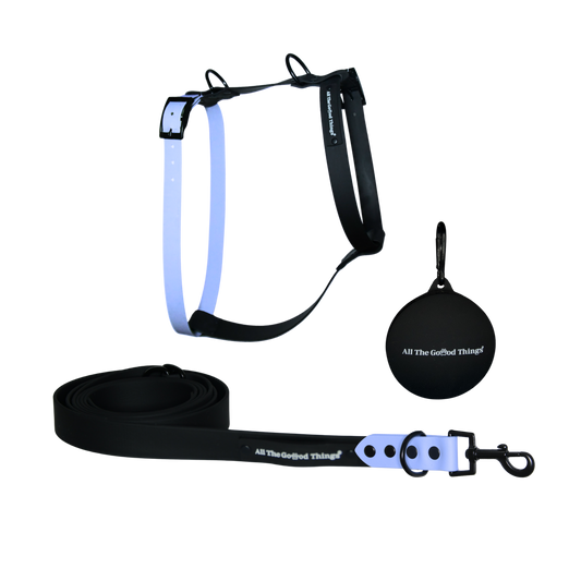 H Shape Harness + Leash Set