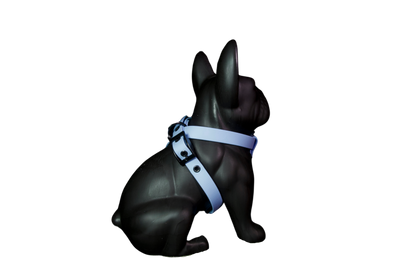 Harness Sky