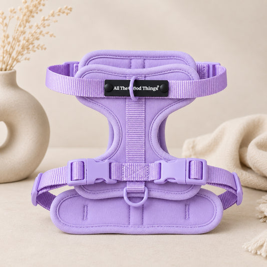 Pop Padded Harness Lavender