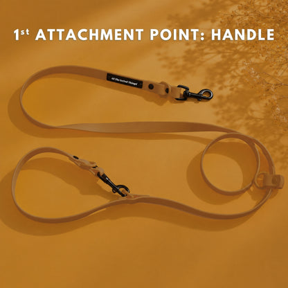 Pop Hands-free Leash Hazel
