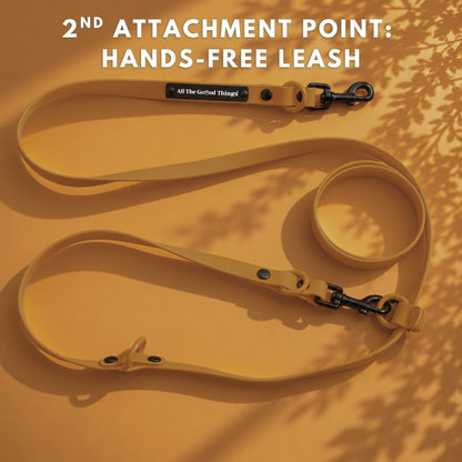 Pop Hands-free Leash Hazel