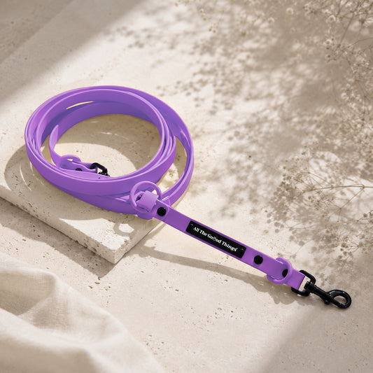 Pop Hands-free Leash Lavender