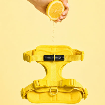 Pop Padded Harness Lemon