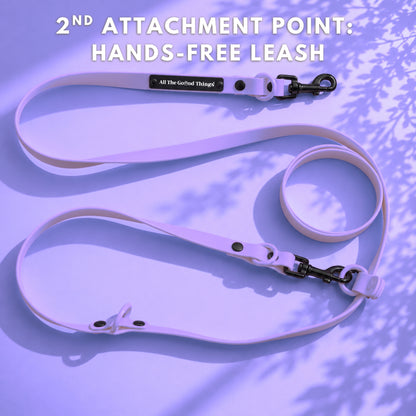 Pop Hands-free Leash Lavender