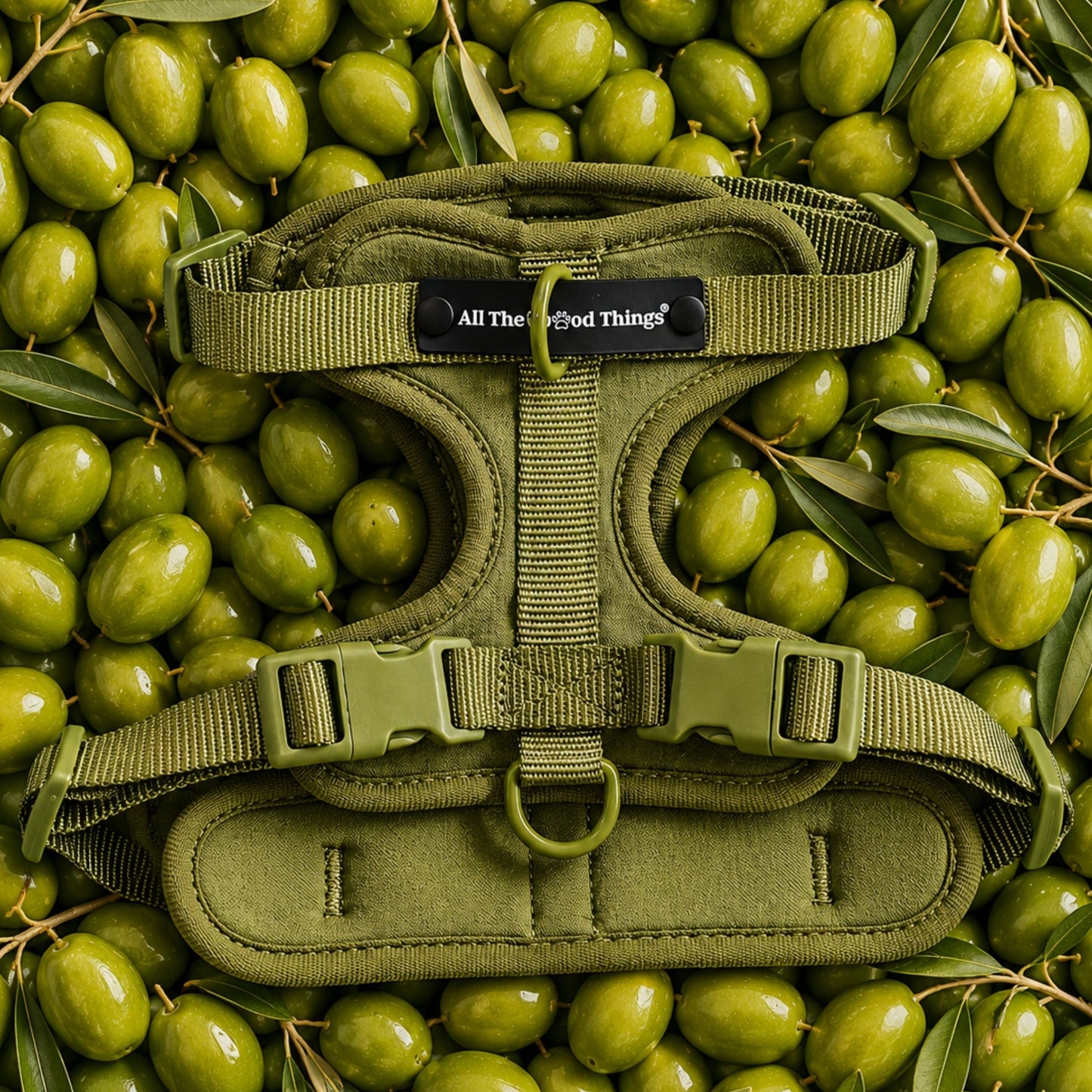 Pop Padded Harness Olive