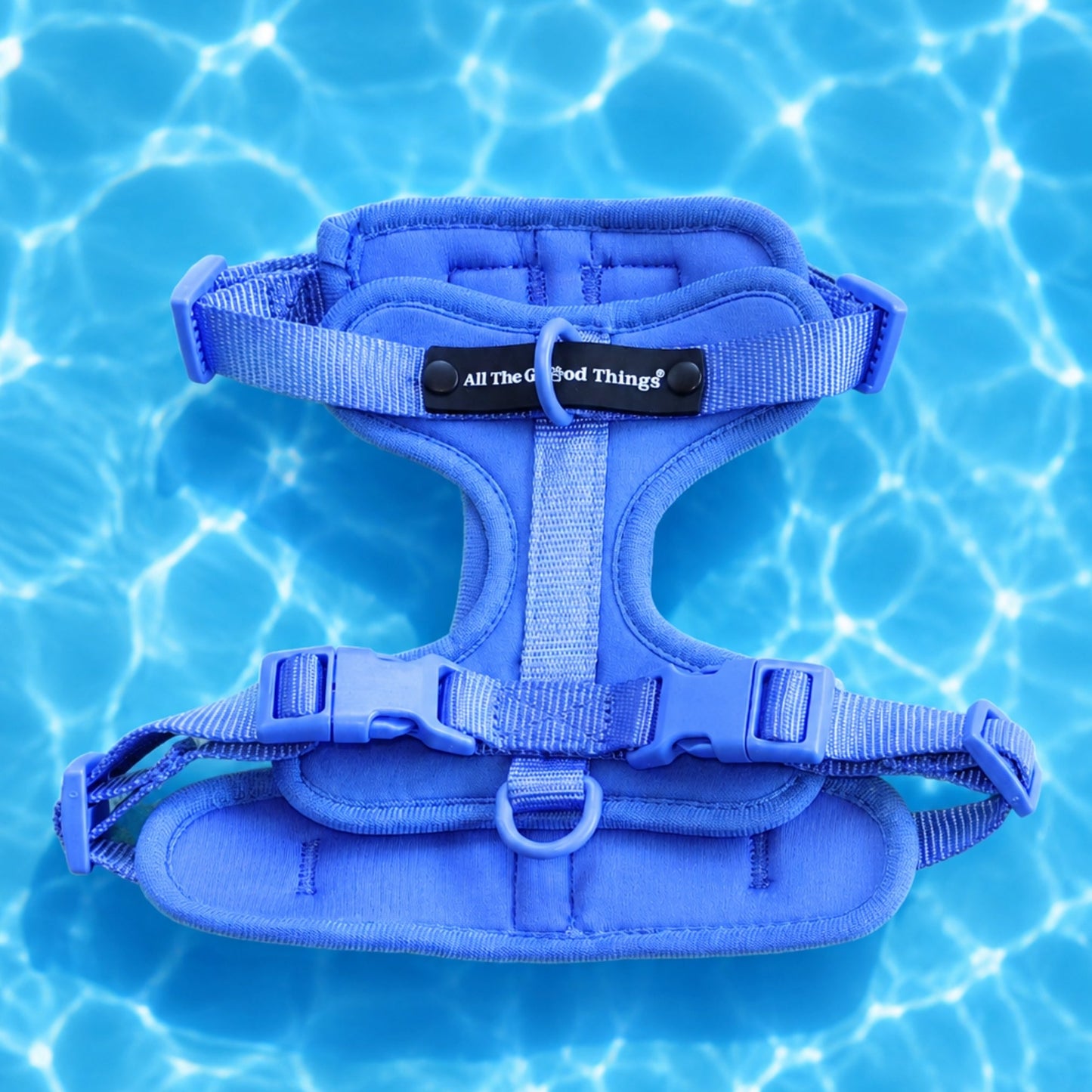 Pop Padded Harness Sky