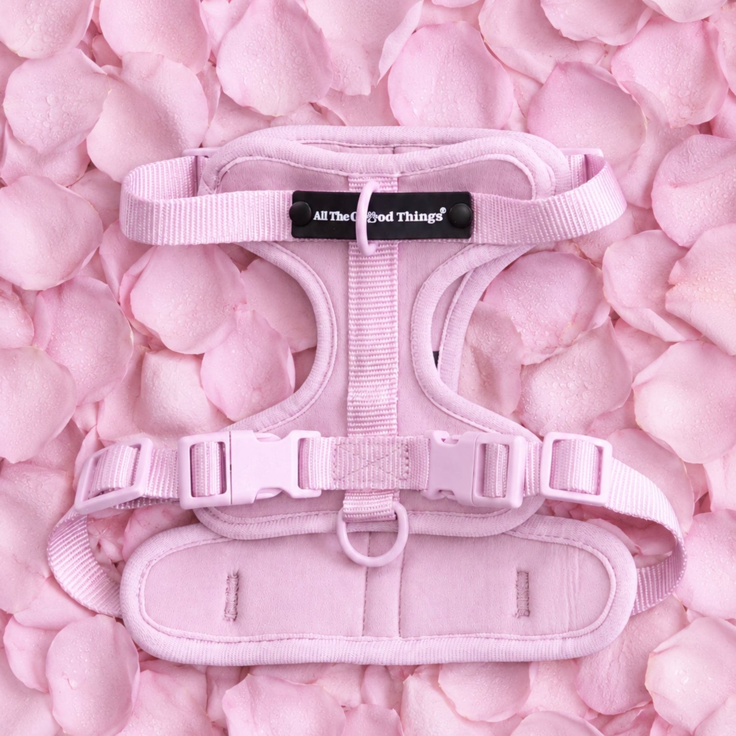 Pop Padded Harness Rose